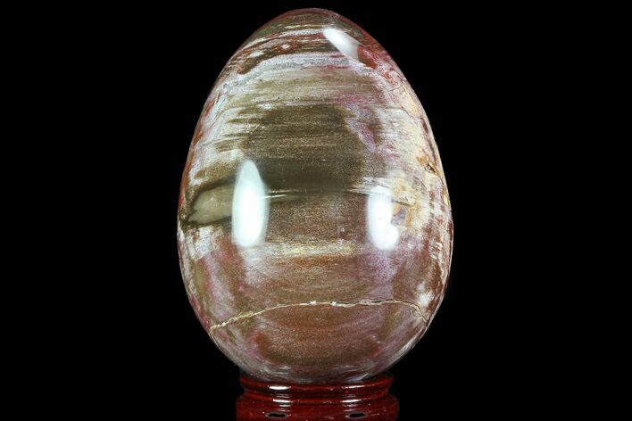 Colorful, Polished Petrified Wood Egg - Triassic #74747